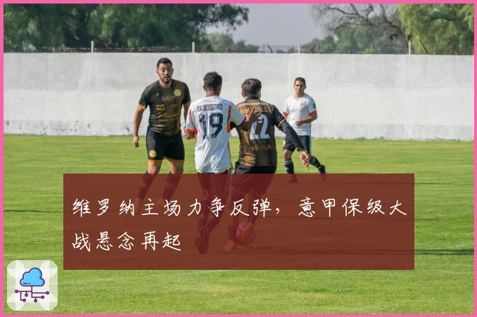 维罗纳主场力争反弹，意甲保级大战悬念再起